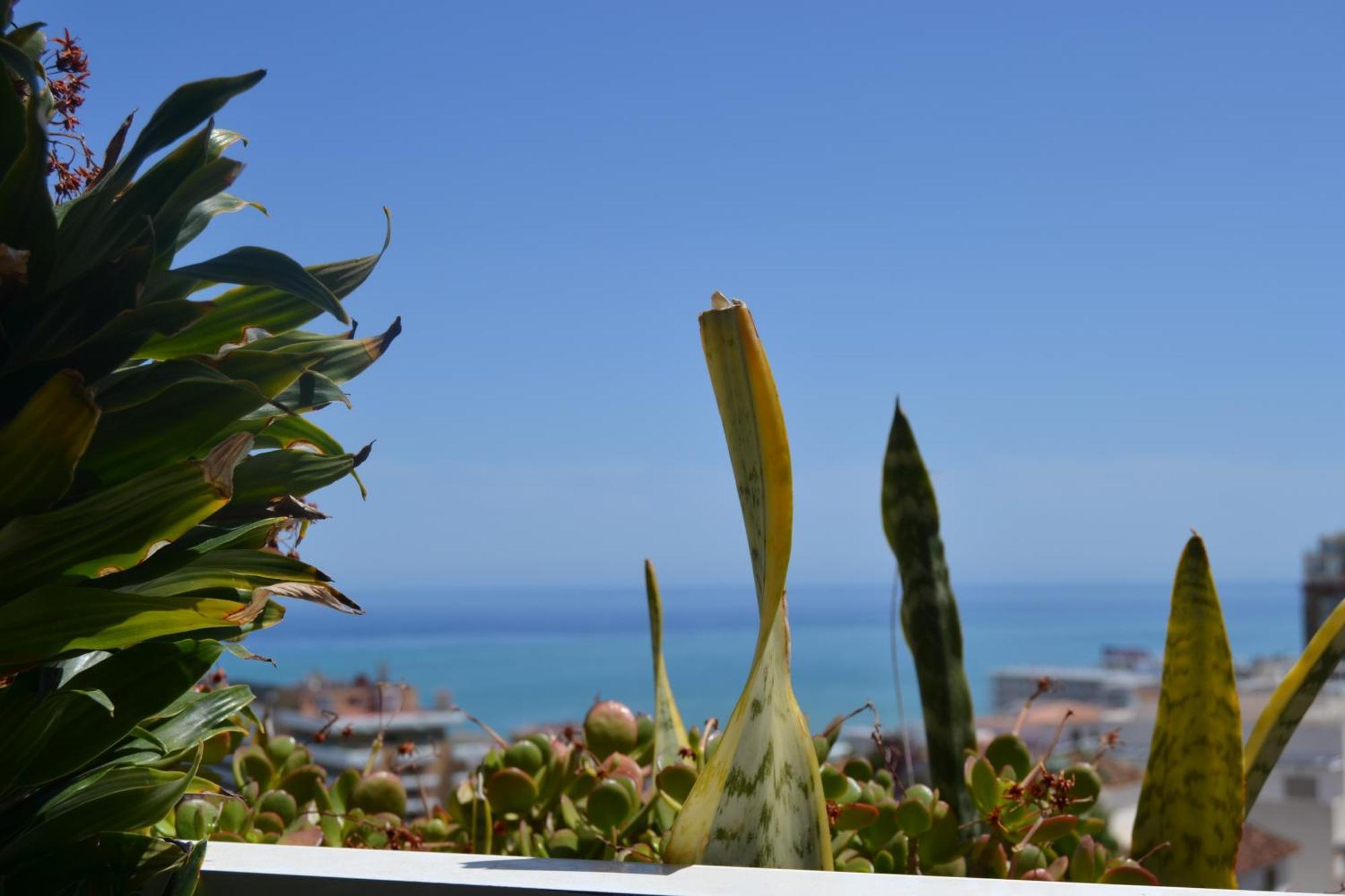 Light-Filled Apartment With Sea Views トレモリノス エクステリア 写真